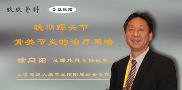 <b>晚期踝关节骨关节炎的治疗策略</b>