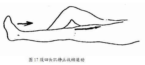 玖玖骨科小知识：四肢骨折康复指南